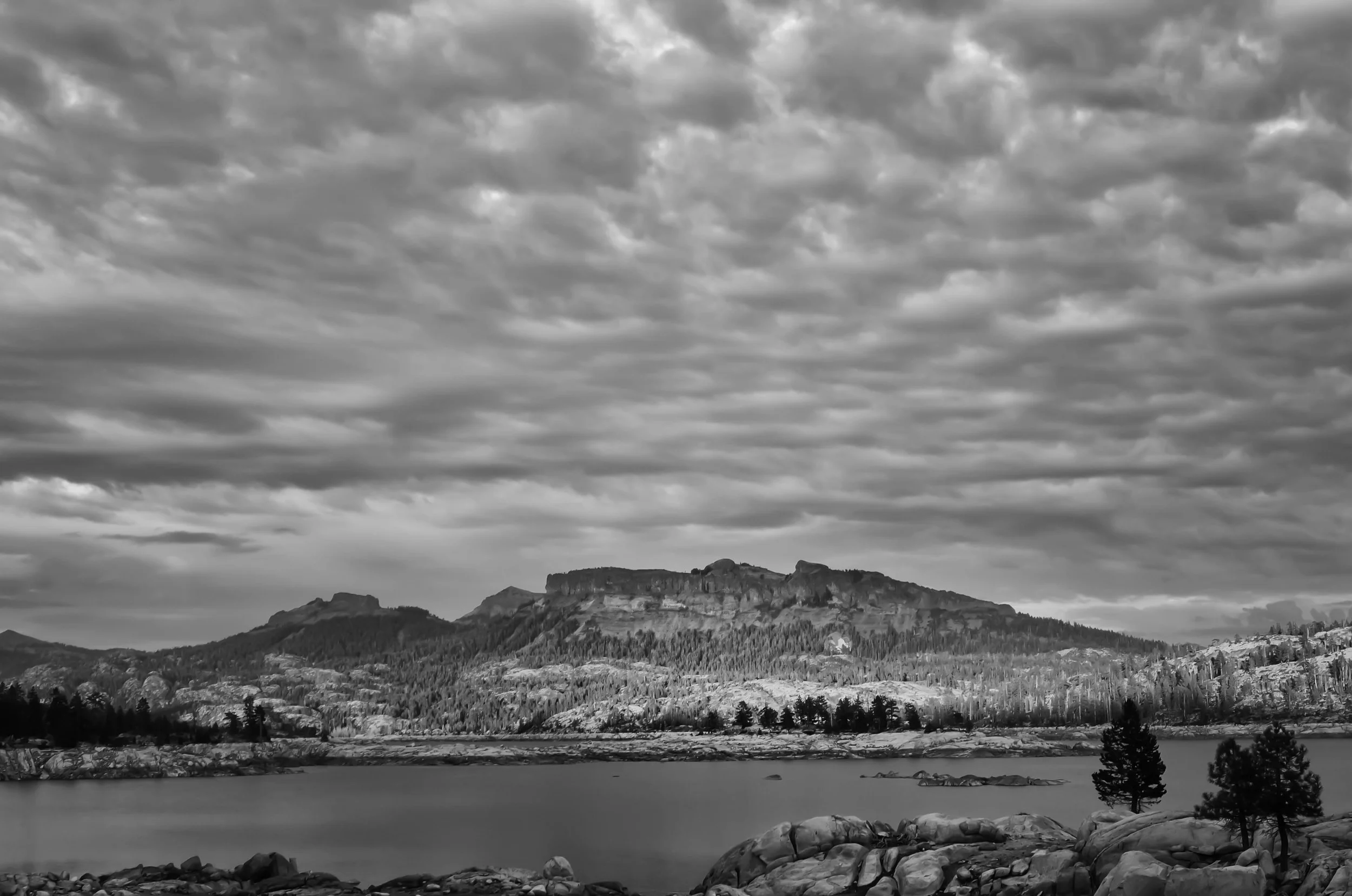 Spicer Landscape B&W.jpg