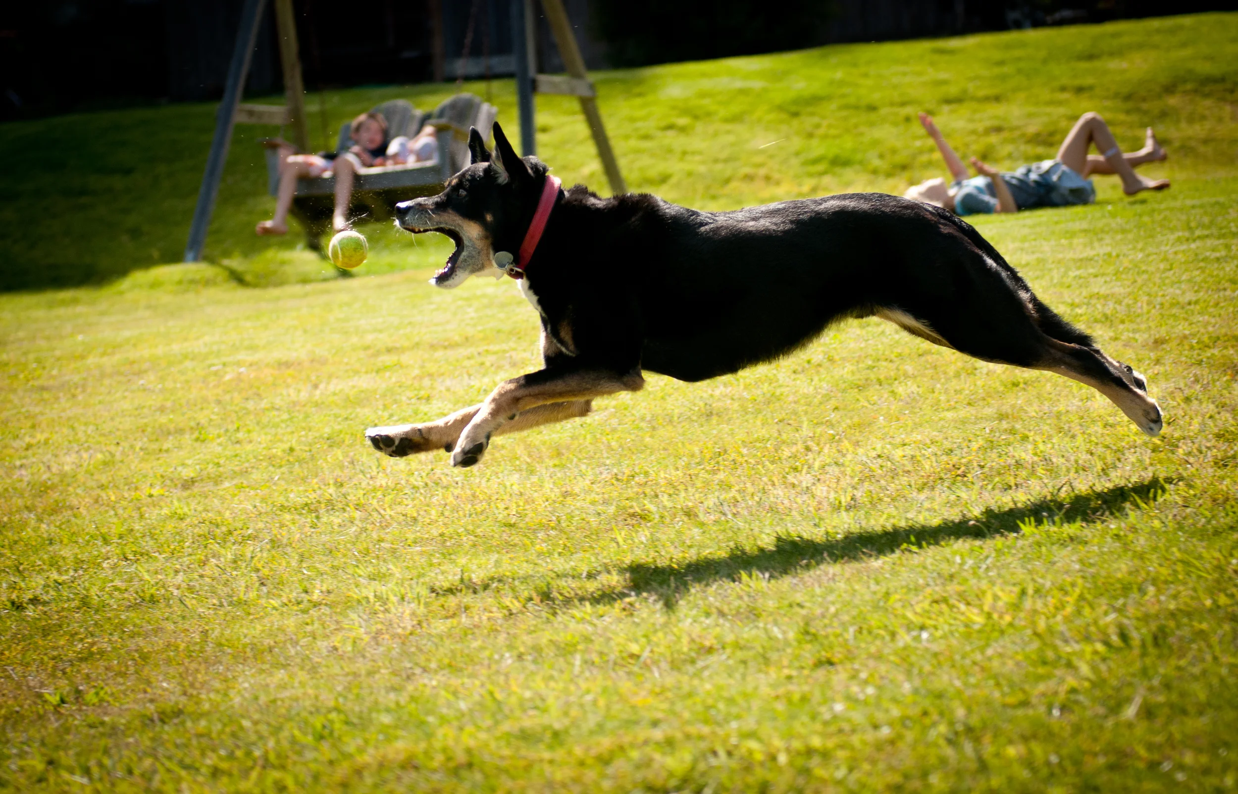 Cowlin-June 17, 2011-DSC_4841.jpg
