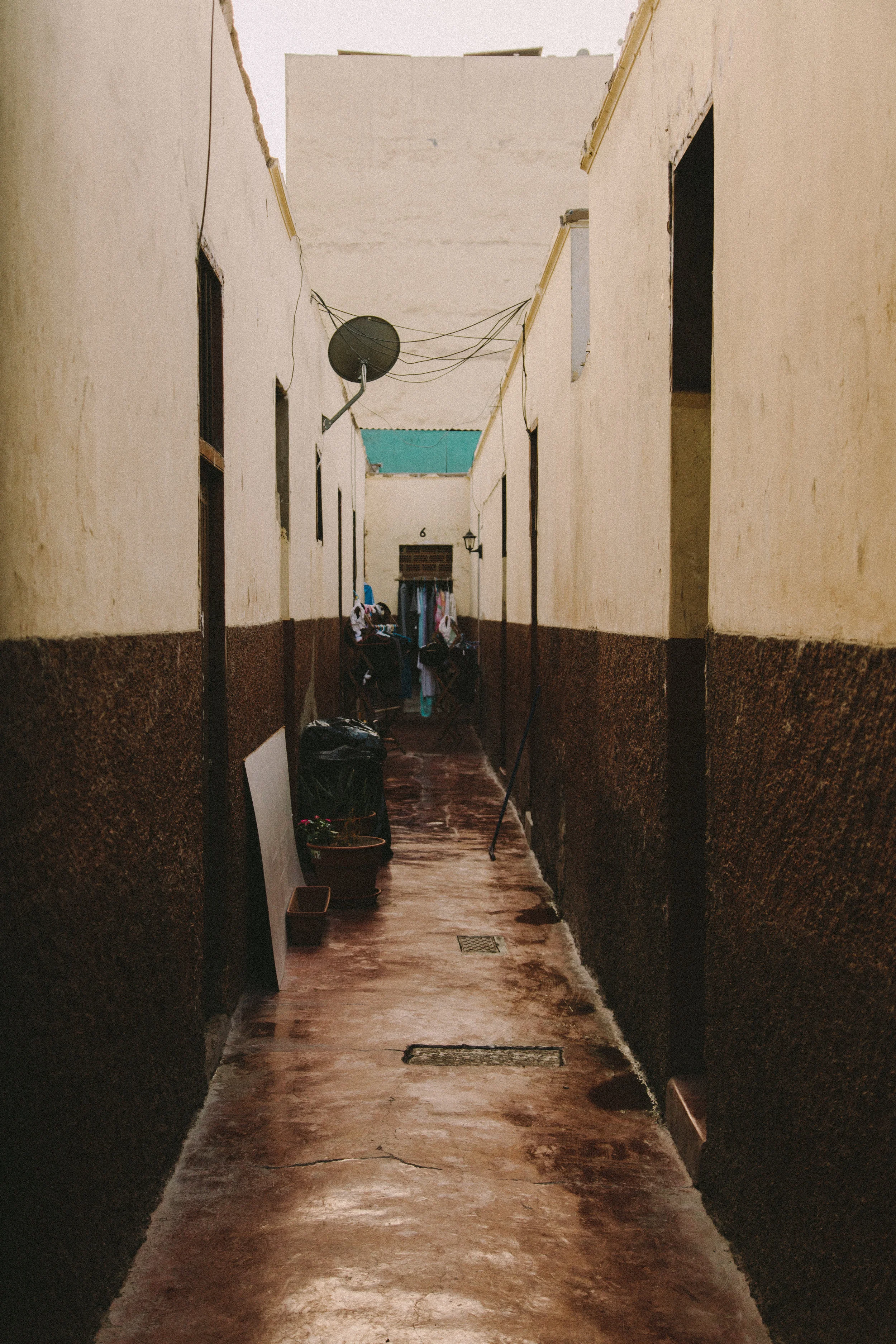 _MG_9187.jpg
