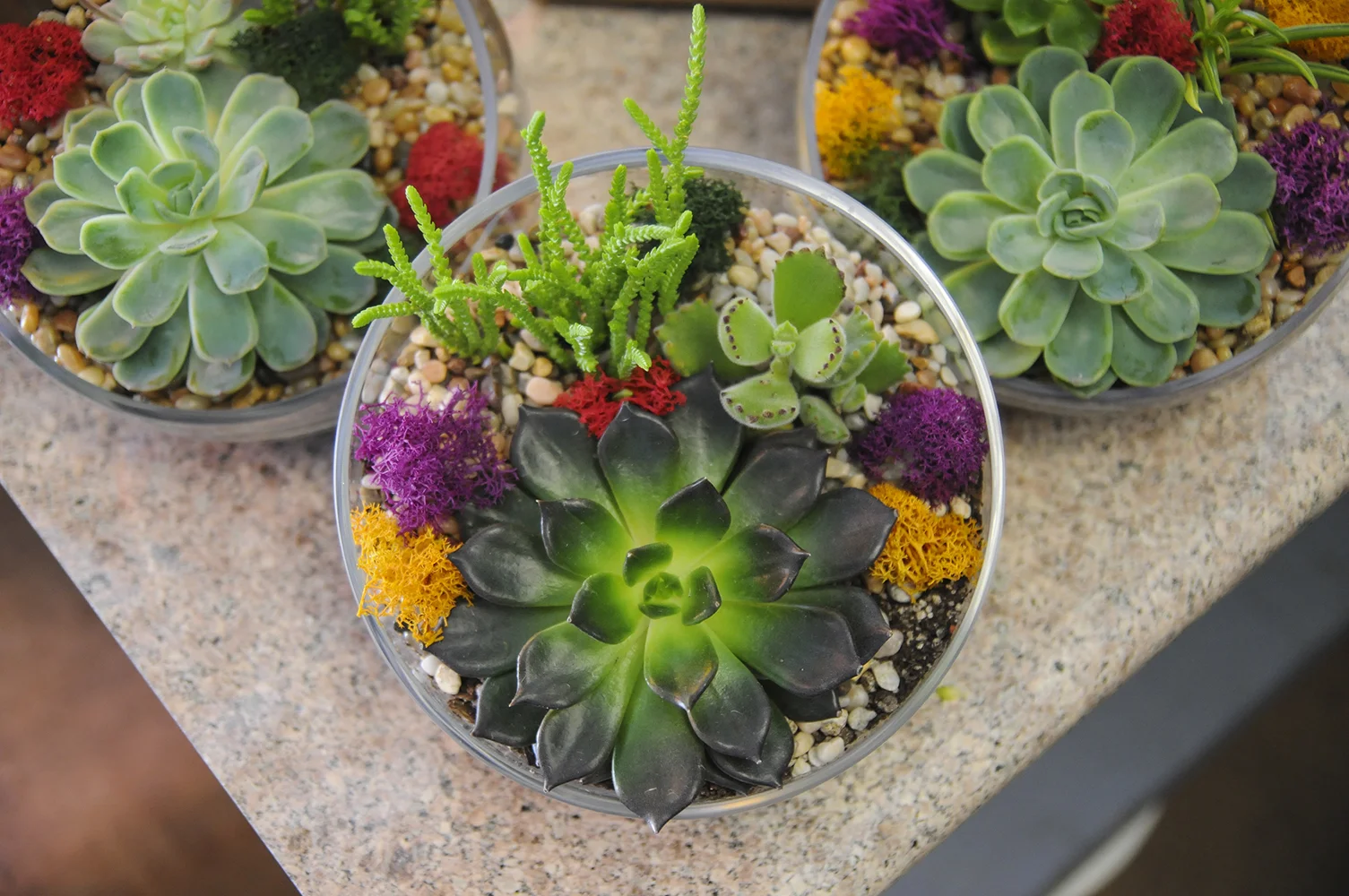 FAWN_PolkStFlorist_004.jpg