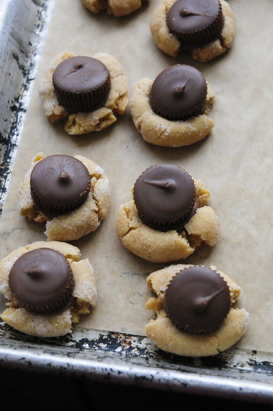 FAWN_BATTER_002.jpg