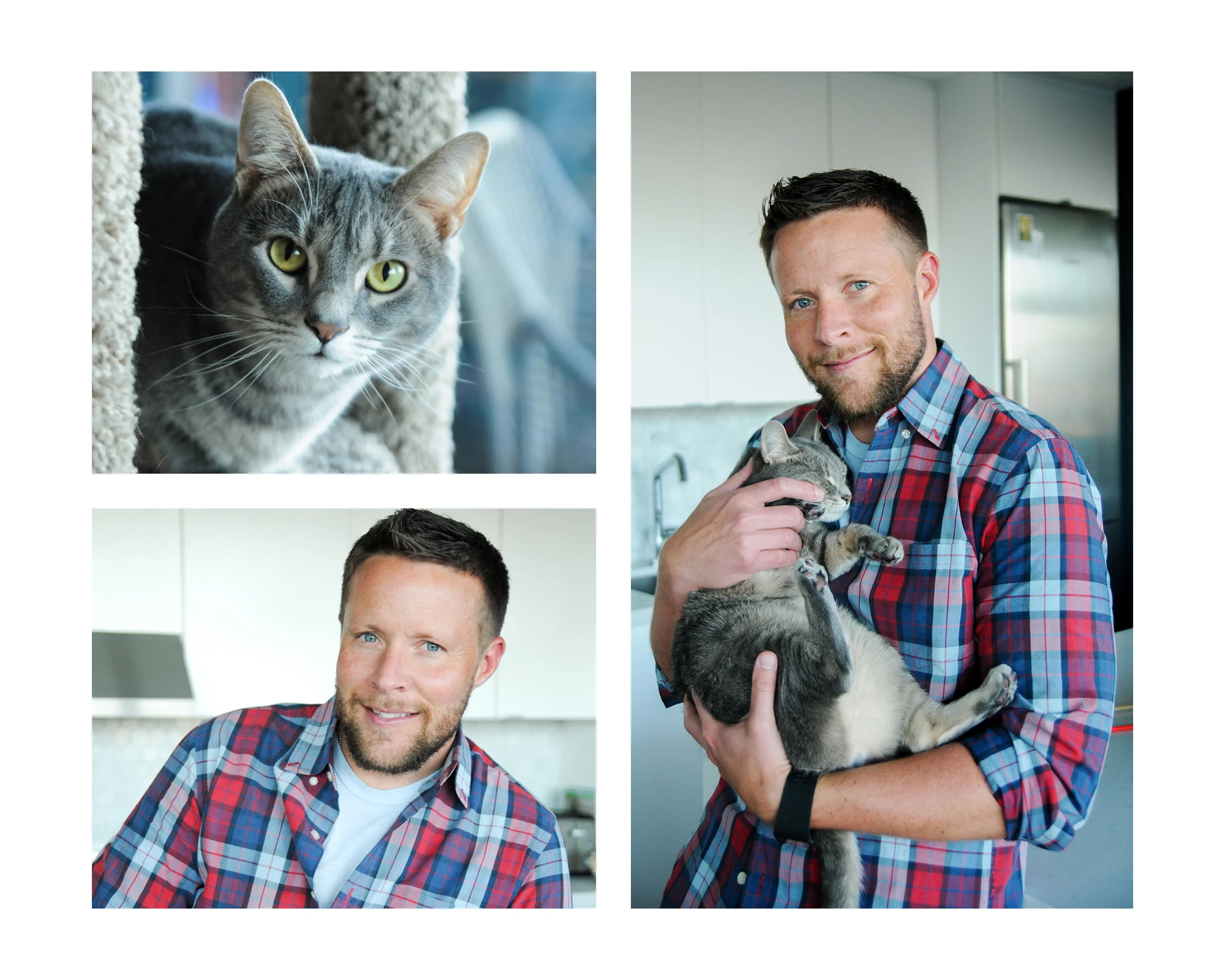 BookWhiskers4b.jpg