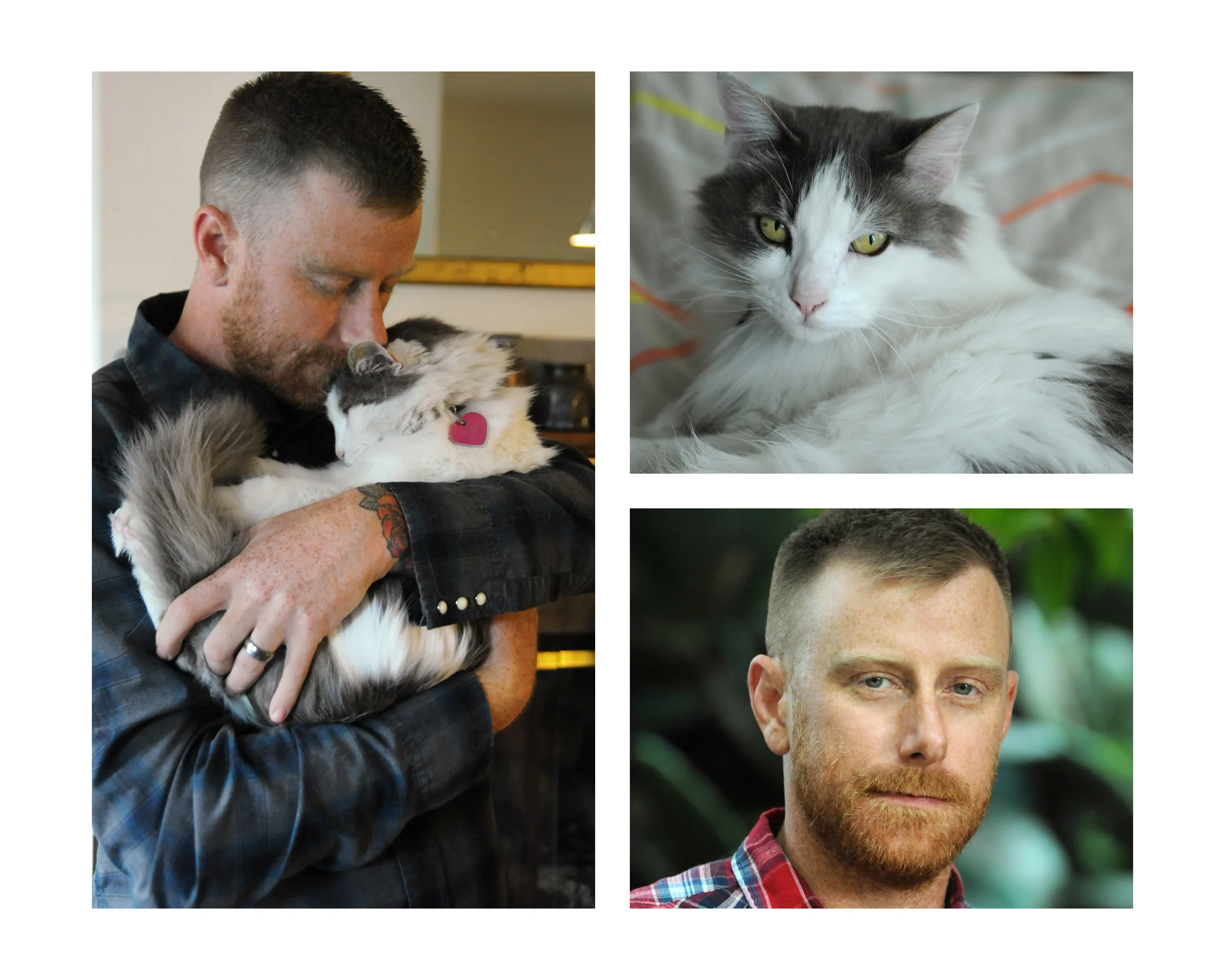 BookWhiskers8b.jpg