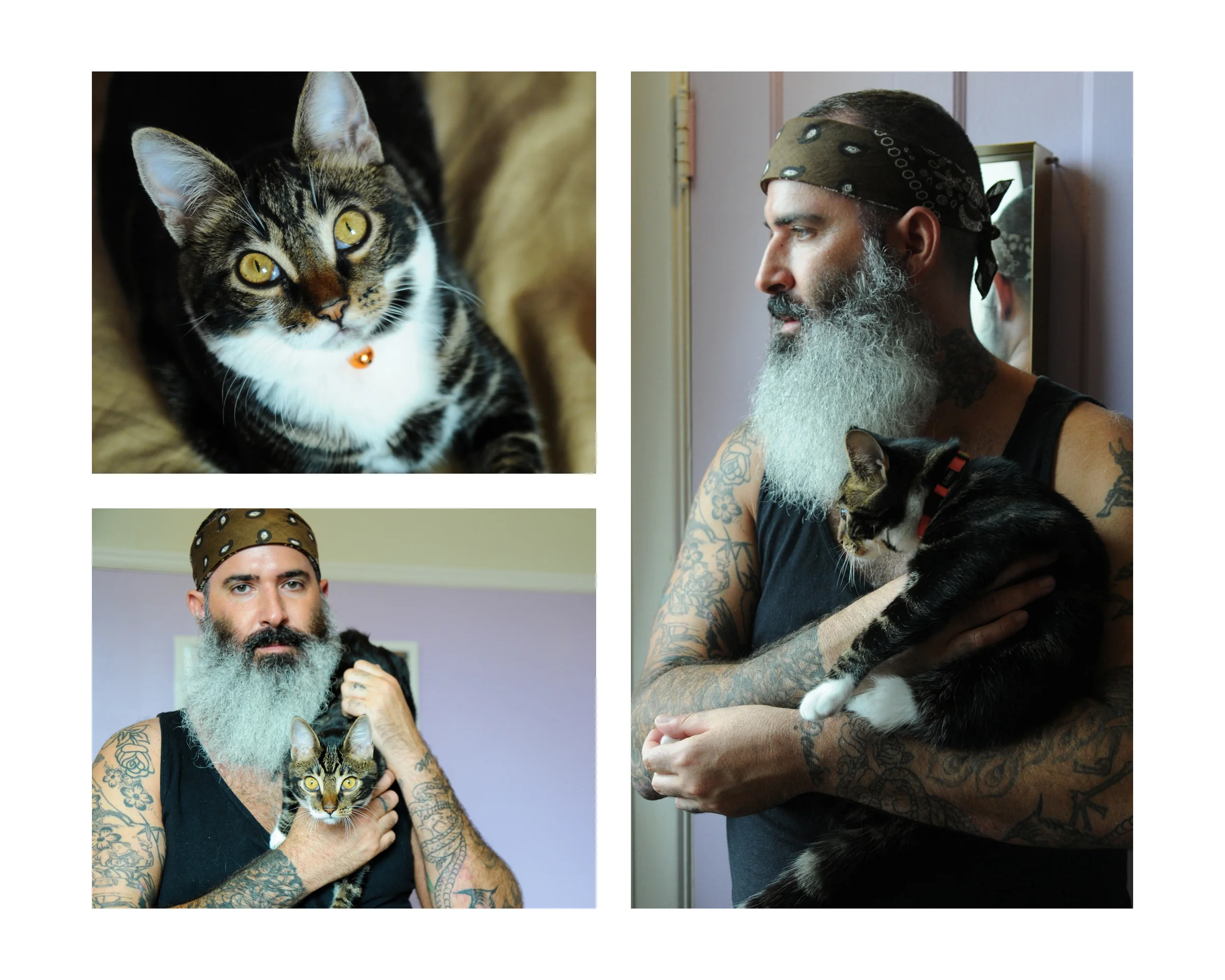 BookWhiskers7b.jpg