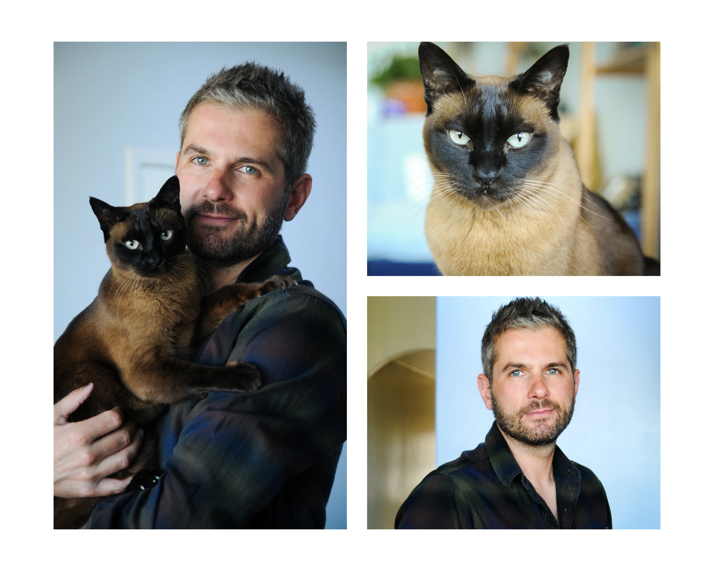 BookWhiskers6b.jpg