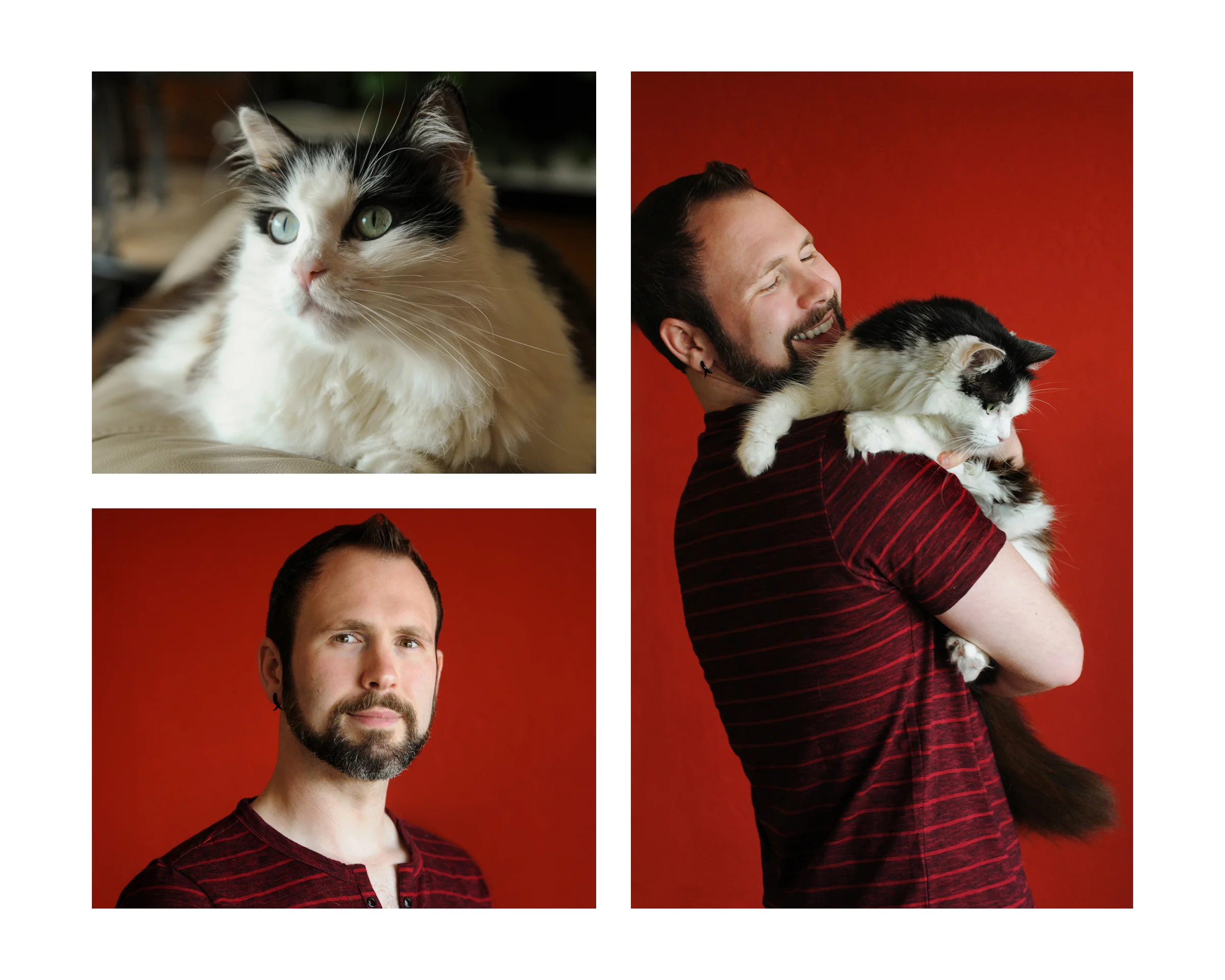 BookWhiskers9b.jpg