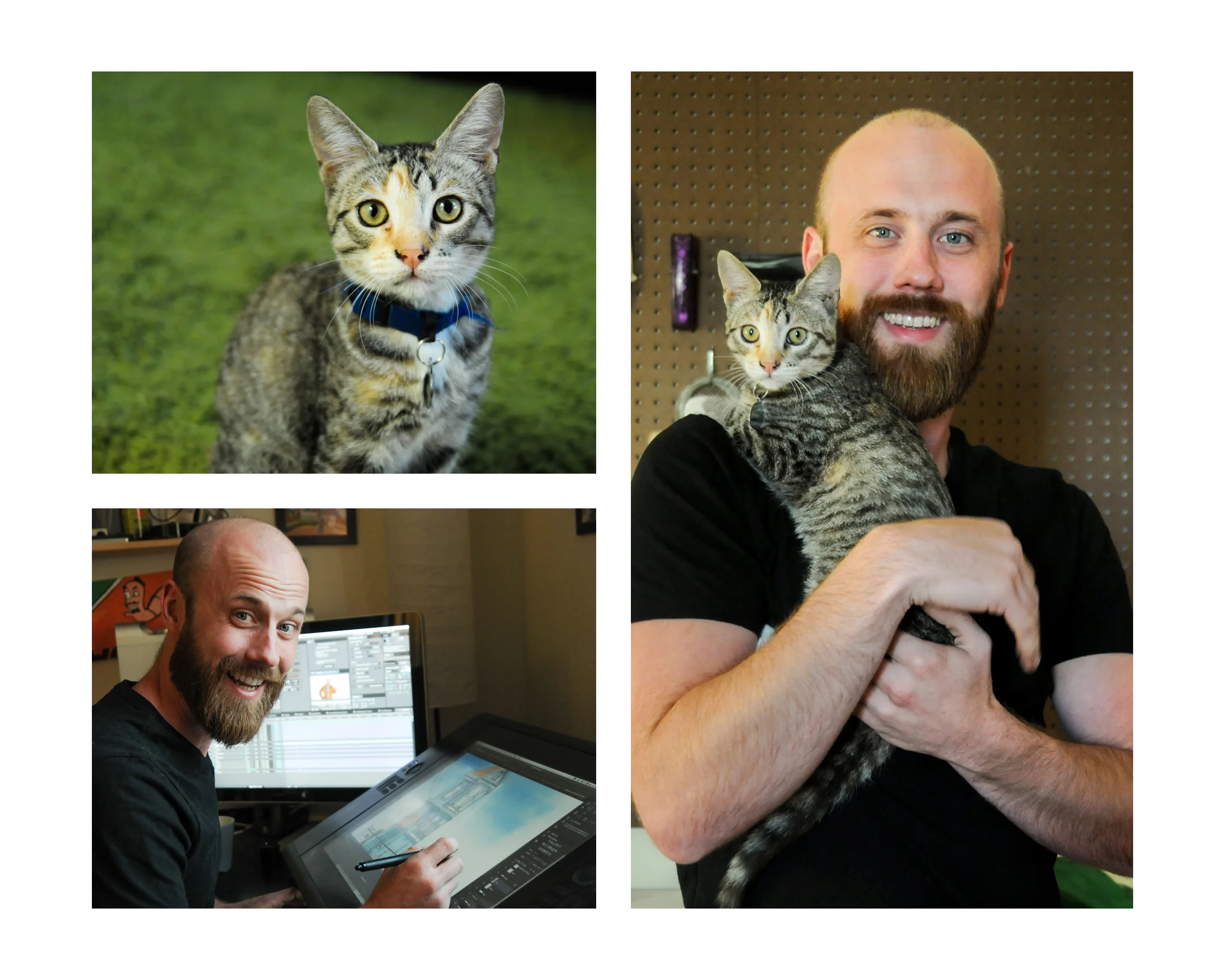 BookWhiskers5b.jpg