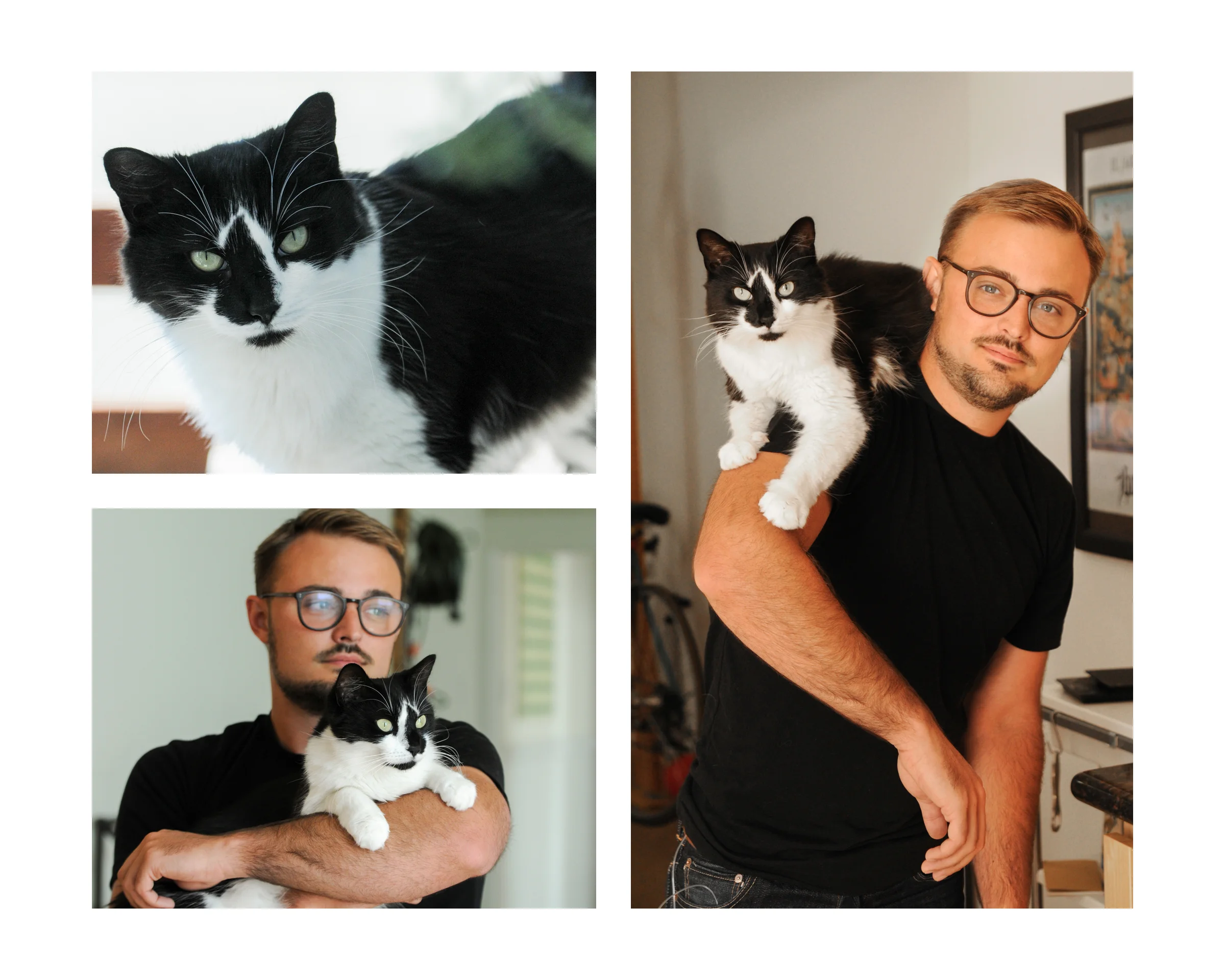 BookWhiskers15b.jpg
