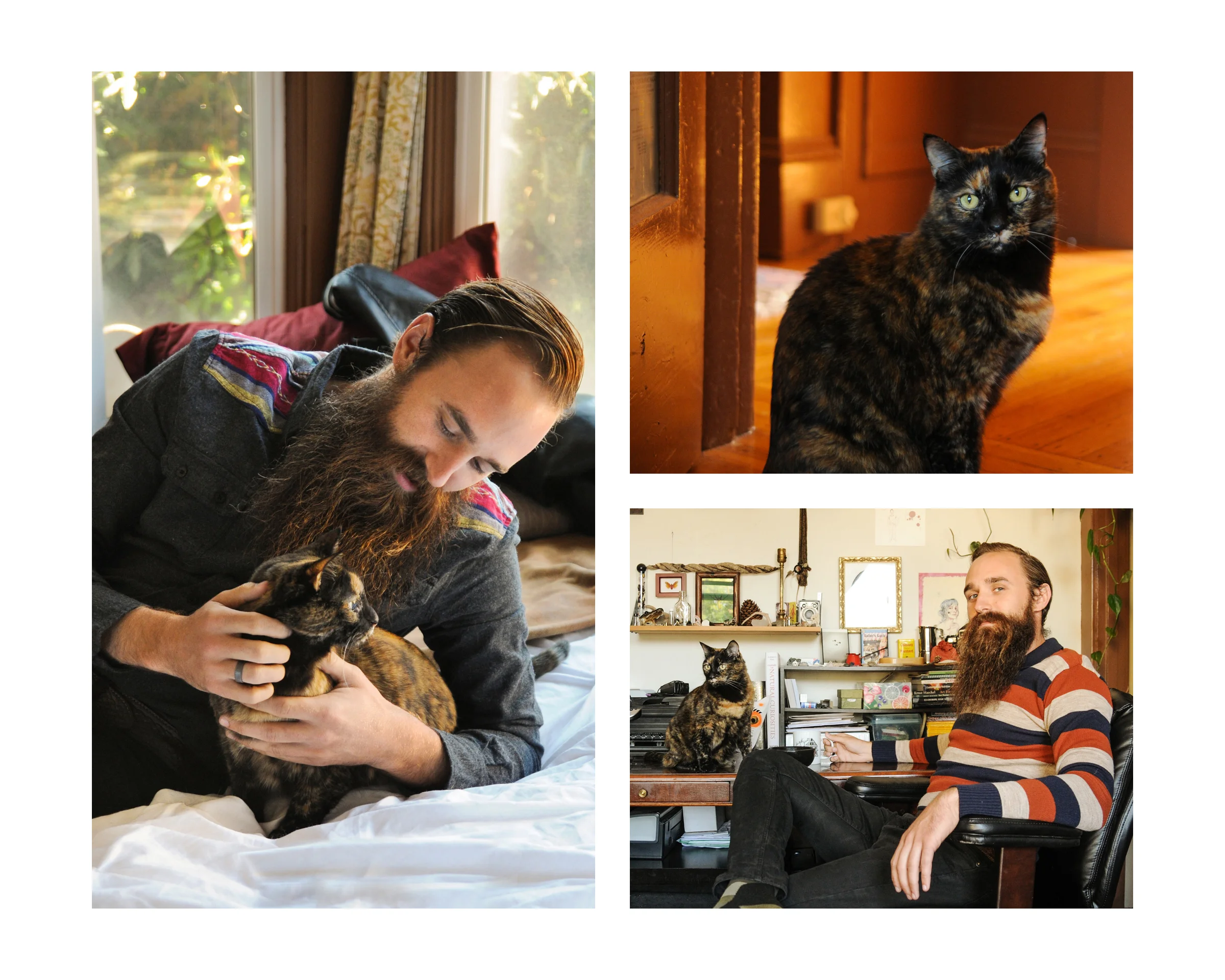 BookWhiskers16b.jpg