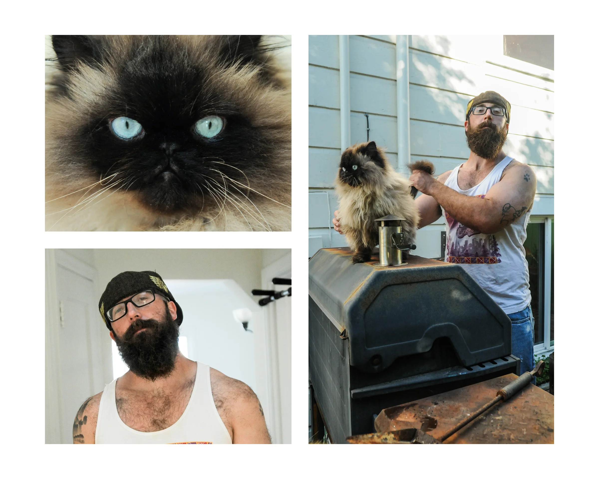 BookWhiskers17b.jpg