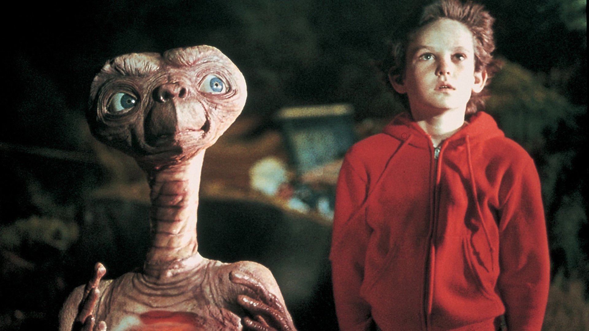 One of the mechatronic models of ET used in the film will be auctioned next month One of the mechatronic models of ET used in the film will be auctioned next month