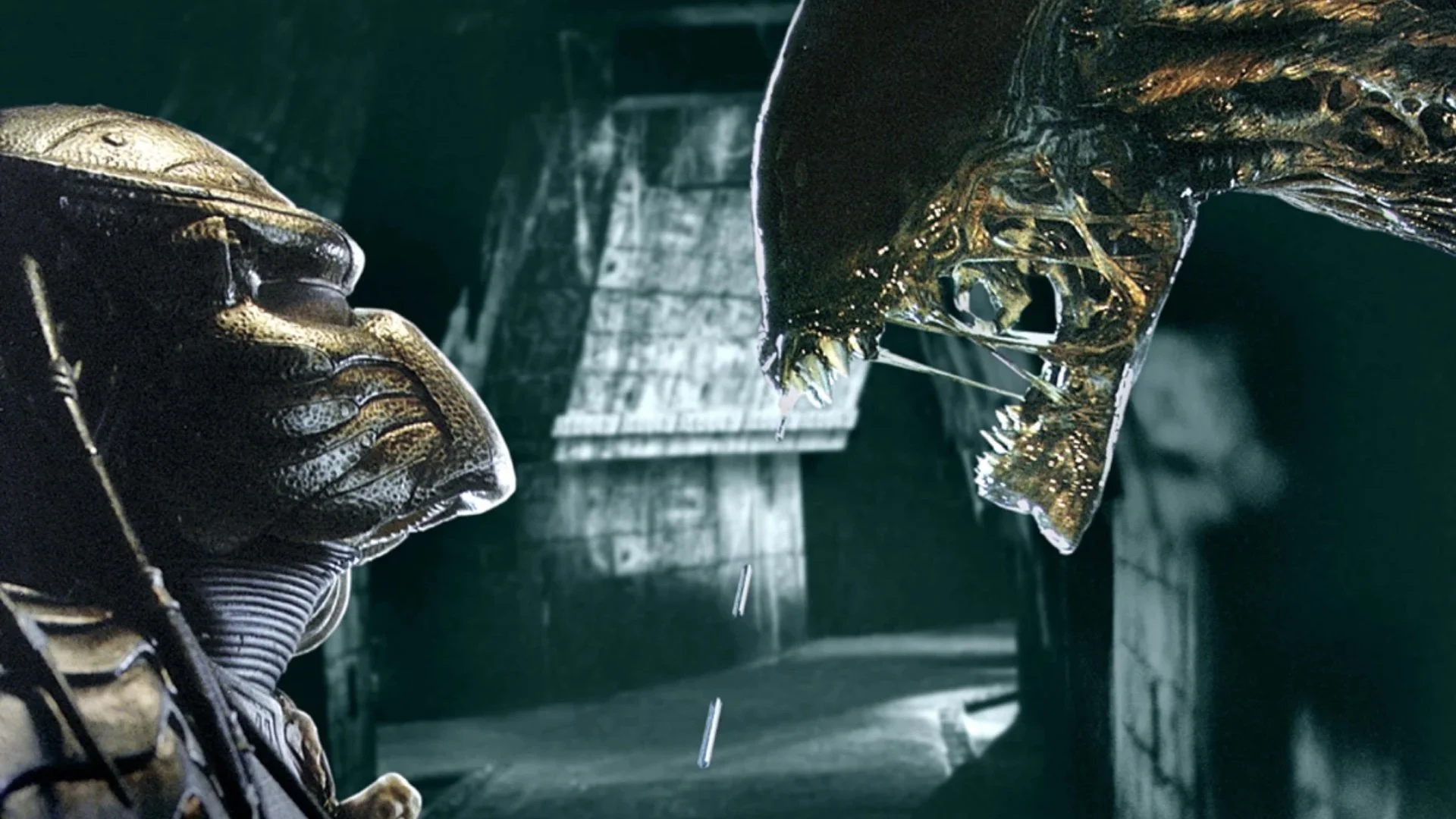 ALIEN: ROMULUS Director Fede Álvarez Wants to Direct a ALIEN VS ...