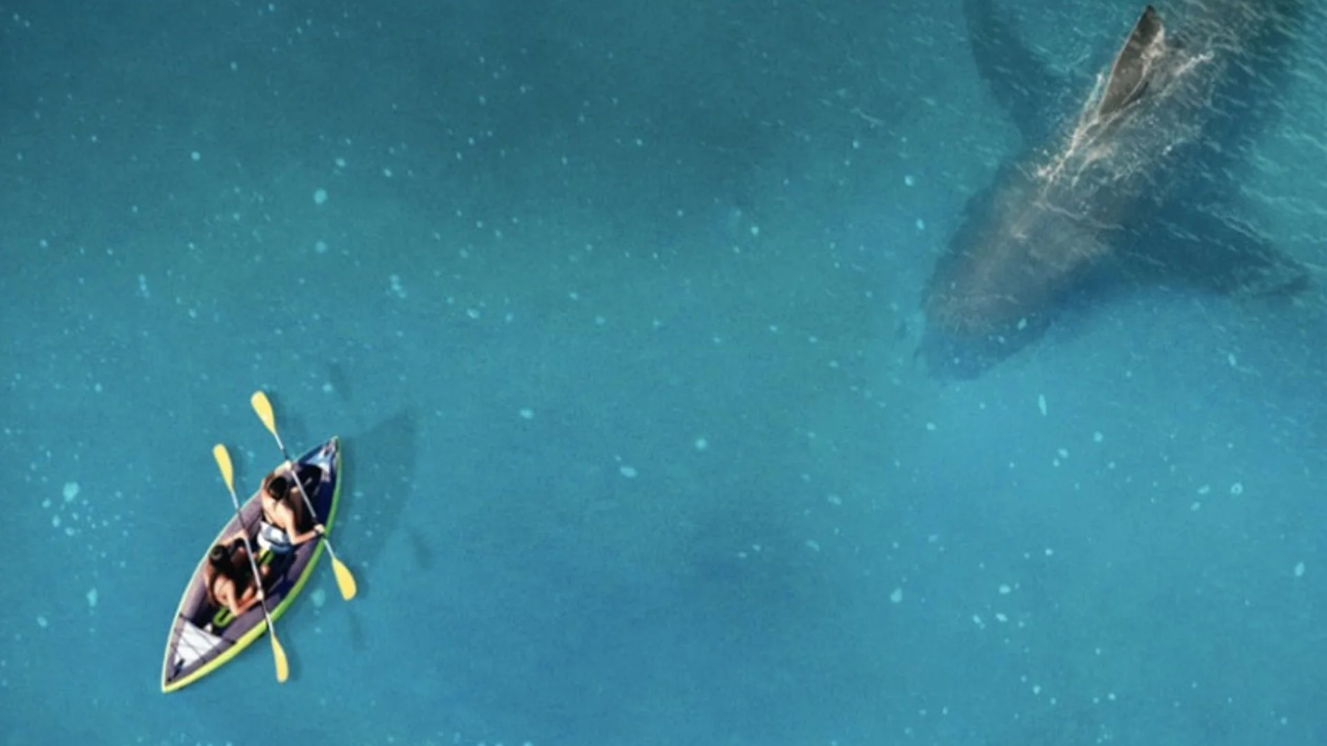 Trailer for New Shark Attack Thriller THE REEF: STALKED — GeekTyrant