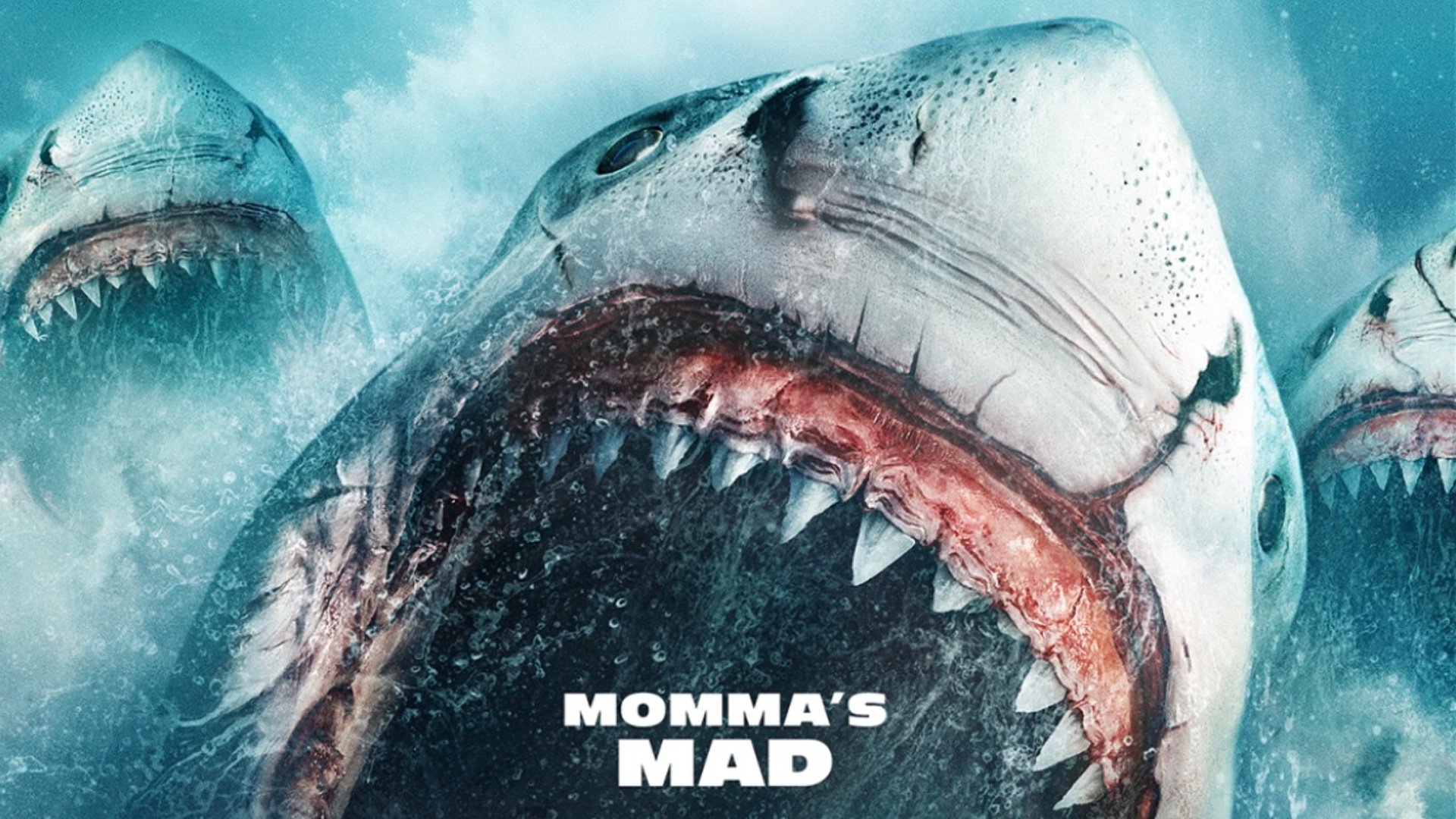 Meg 2' and the Terrible Shark Movies We Love: What's Next for Them?