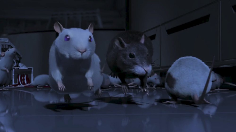 Stunningly Charming CG Animated Short - ONE RAT SHORT — GeekTyrant