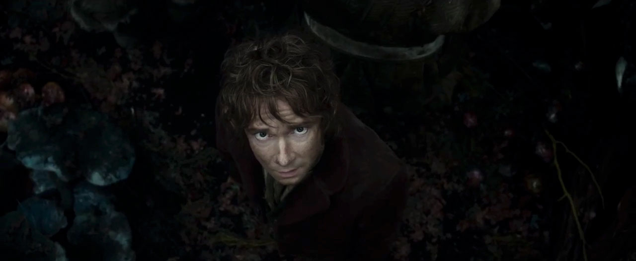 incredible-new-trailer-for-the-hobbit-the-desolation-of-smaug-11.jpg