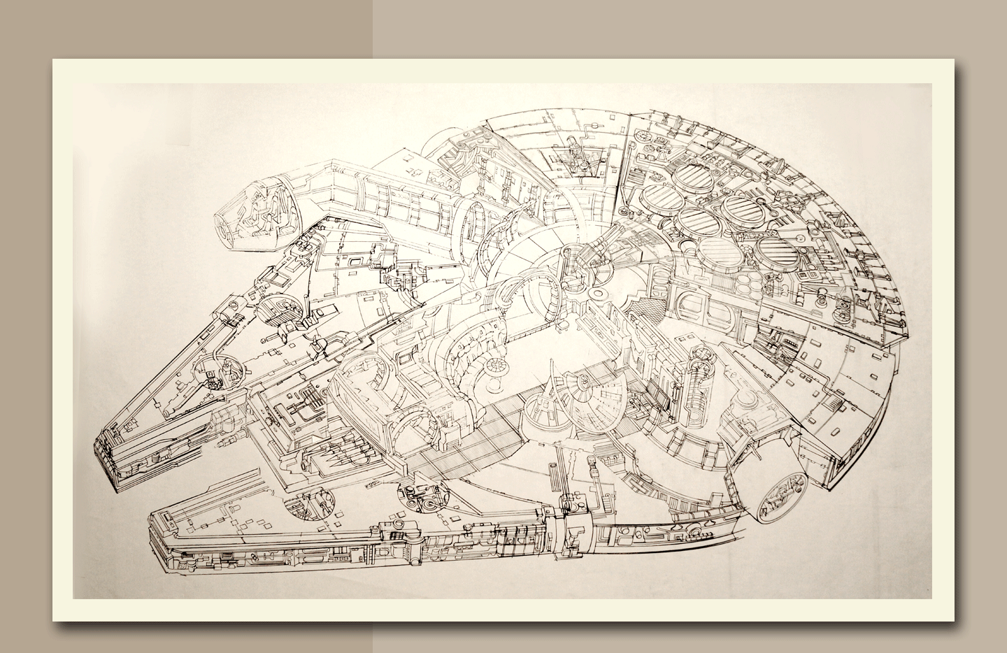 FalconLineArt_01885855543.gif