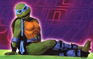 The Forgotten #TooFemale Teenage Mutant Ninja Turtle
