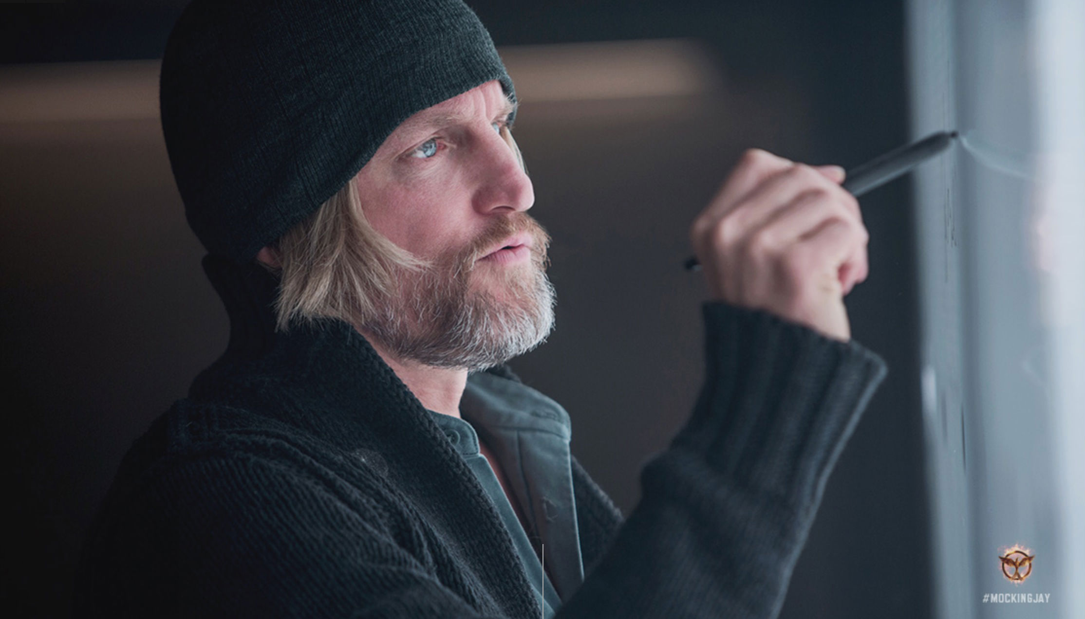 Mockingjay-Part-1-Harrelson.jpg