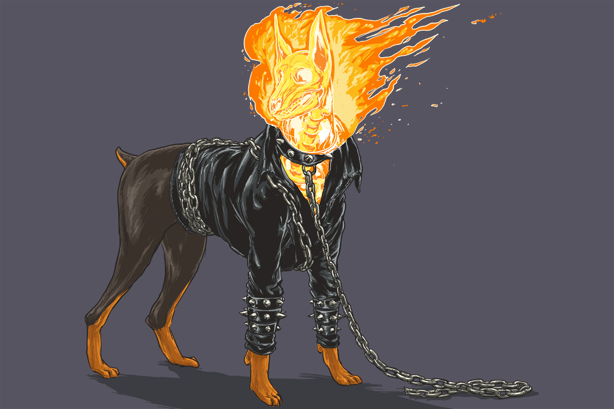 Josh-Lynch-Dog-Ghost-Rider.jpg