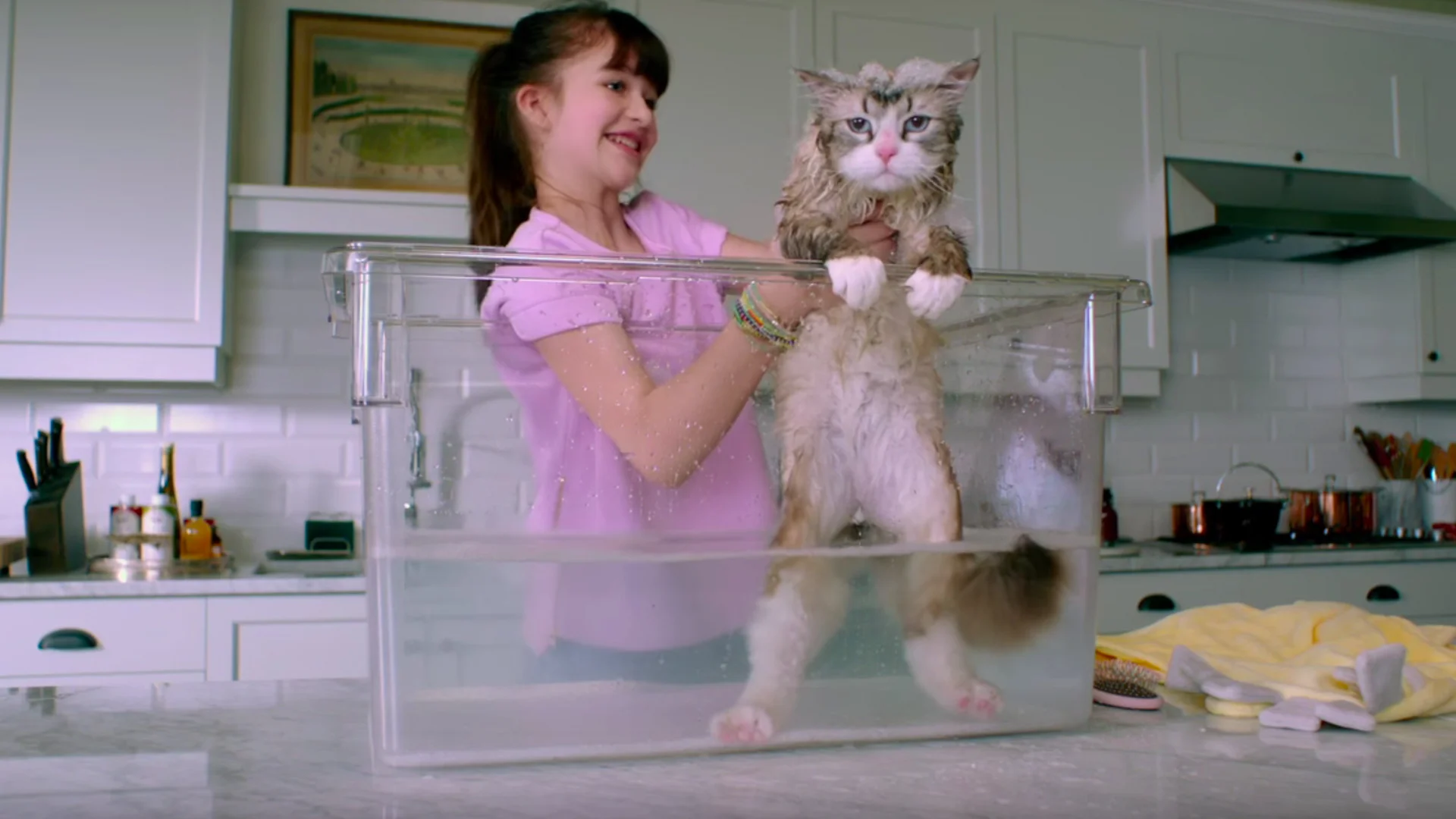NINE LIVES Trailer: Kevin Spacey Becomes a Cat in a Movie That Somehow