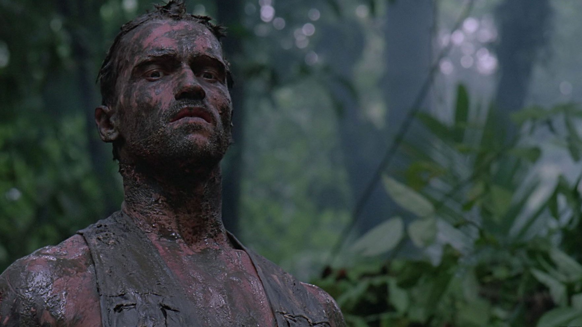 Arnold Schwarzenegger nixed cameo in Shane Black 'Predator' reboot