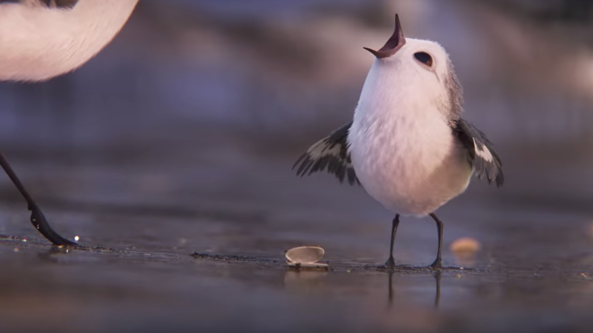Adorable First Footage from Pixar's Animated Short PIPER — GeekTyrant
