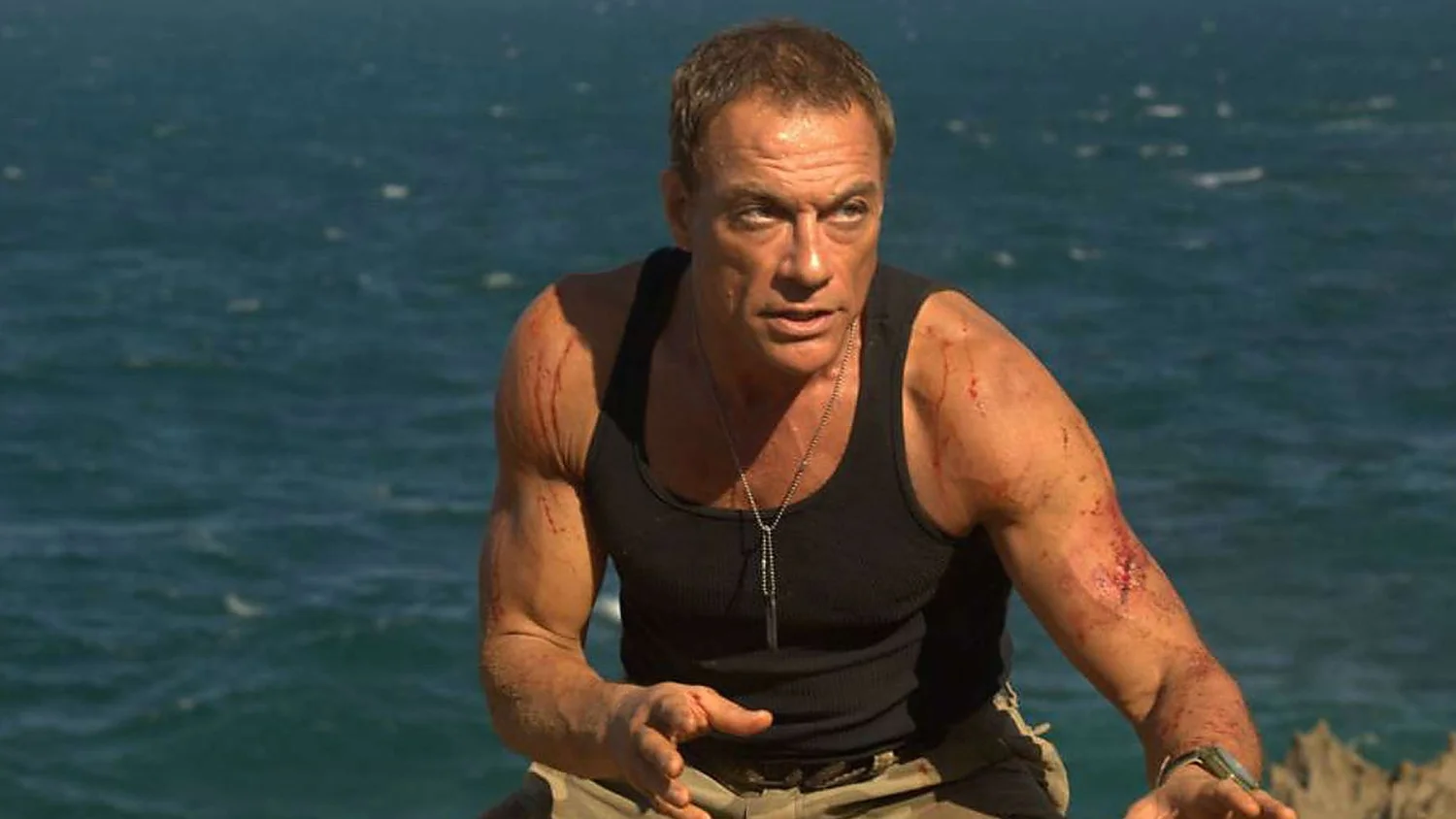 35+ Mike Tyson And Van Damme Background