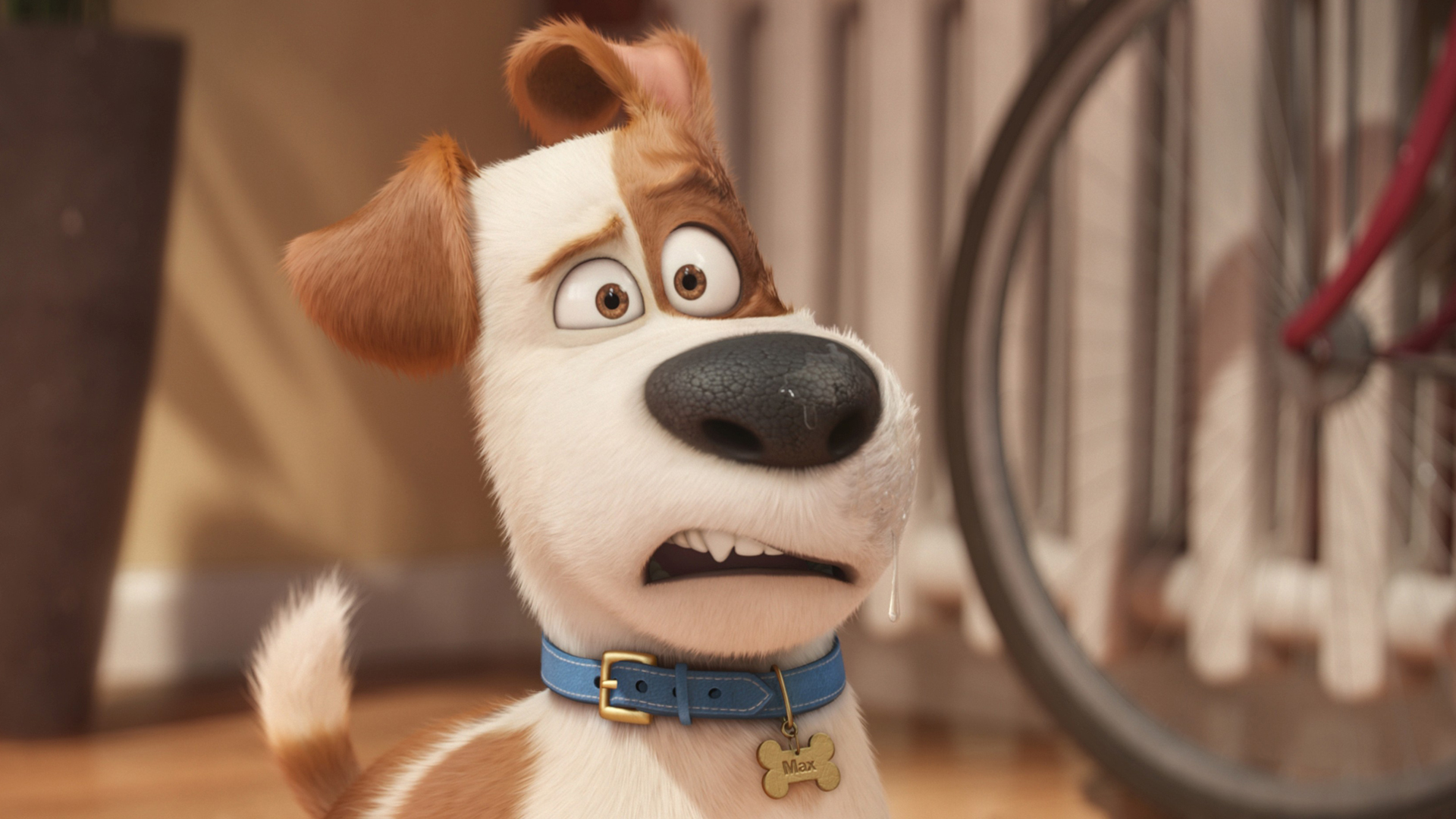 The Secret Life of Pets' Review