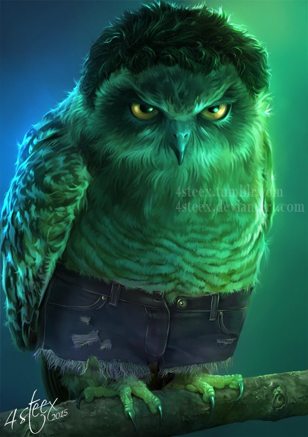 owl a 3.jpg