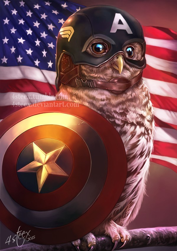 owl a 2.jpg