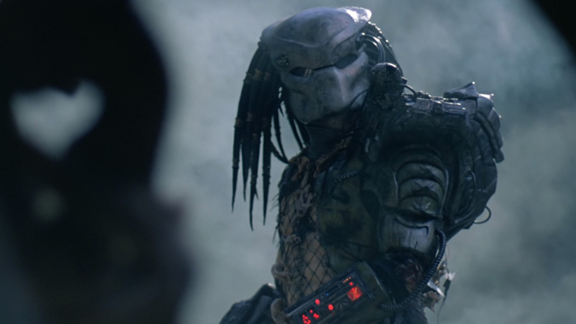 Alien vs. Predator 3 Rumors, AvP Movie & Game News