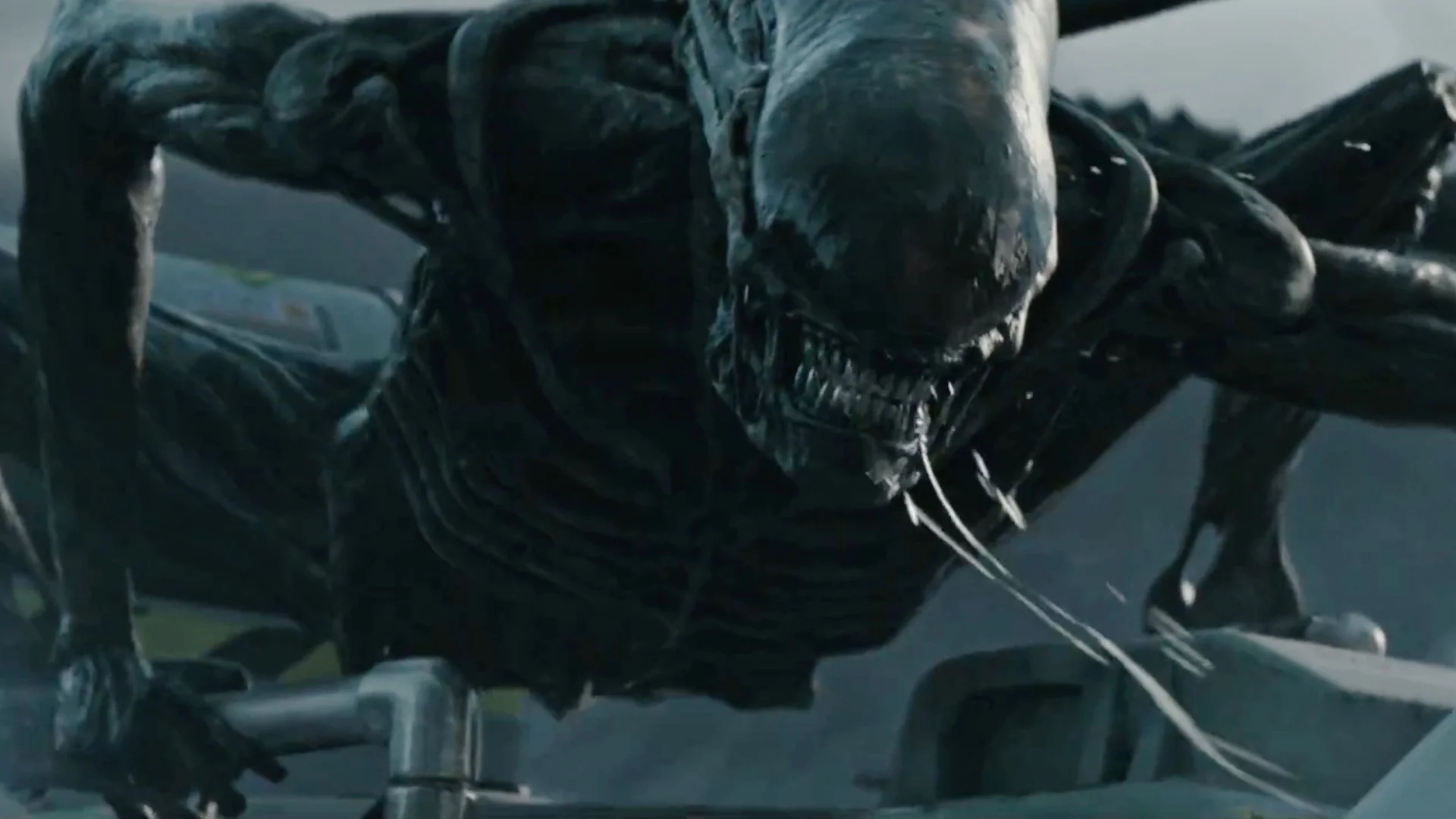 Ridley Scott Learned Nothing From Prometheus And Needs To Stop Making Alien Movies Geektyrant Ridley Scott Learned Nothing From Prometheus And Needs To Stop Making Alien Movies Geektyrant