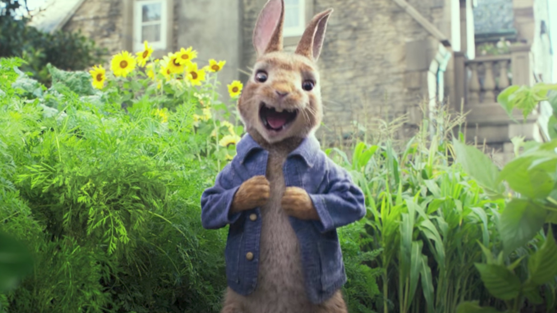 animals-get-crazy-and-throw-a-wild-party-in-first-trailer-for-peter-rabbit-social.jpg