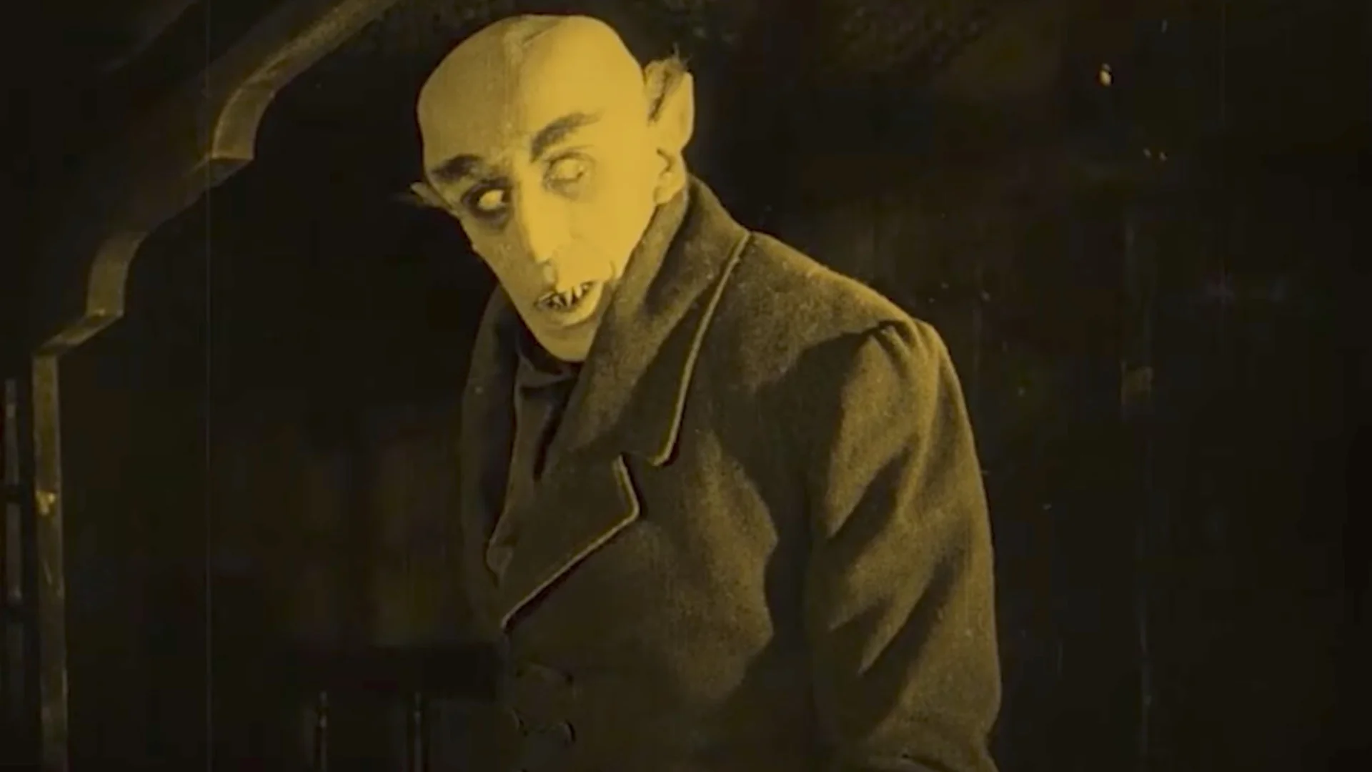 Movie About Nosferatu 60 Photos Moonagedaydream film Movie About Nosferatu 60 Photos Moonagedaydream film