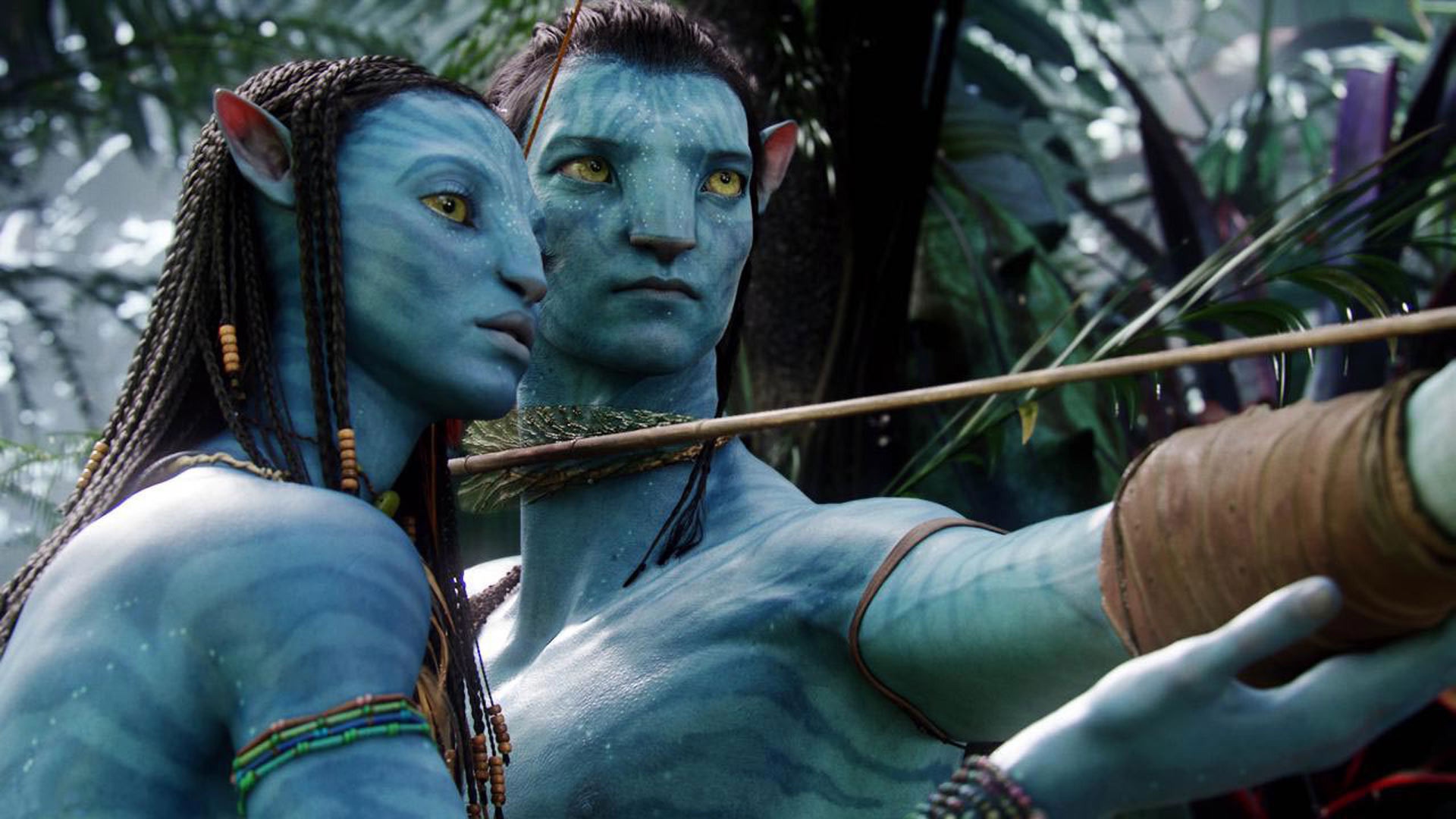 James Cameron Talks About His AVATAR Sequels and "Building a Greater
