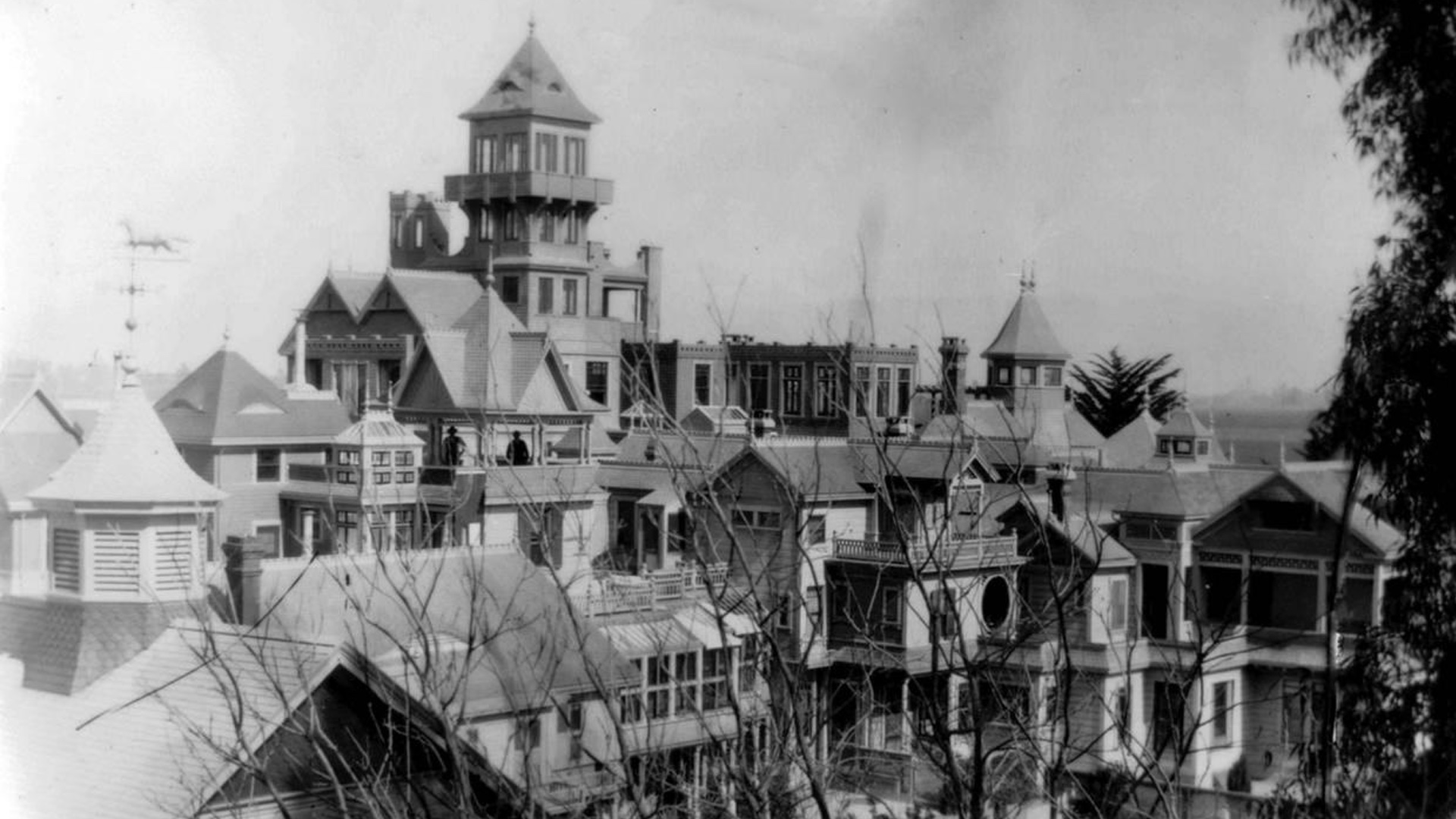Stream winchester movie hot sale