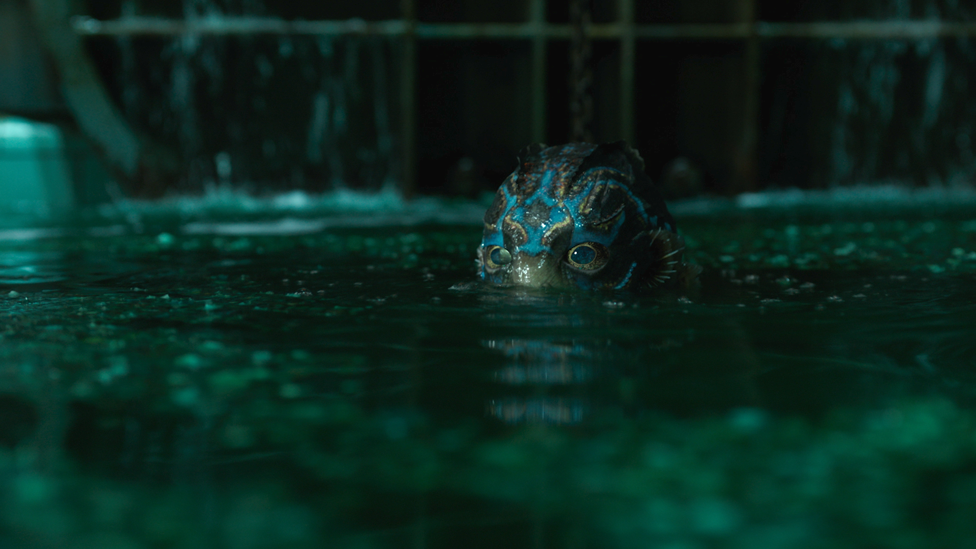 Shape Of Water Themed Dildo Sales Skyrocketed Following The Film S Shape Of Water Themed Dildo Sales Skyrocketed Following The Film S