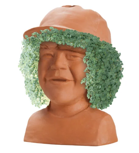 chia1.jpg