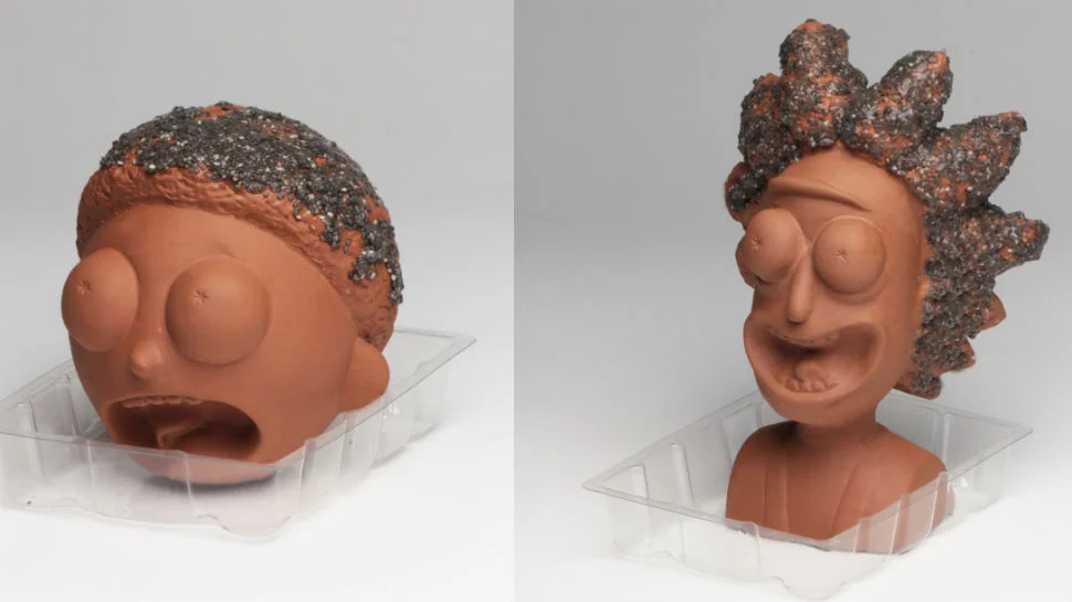 chia4.jpg