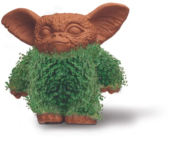 chia3.jpg