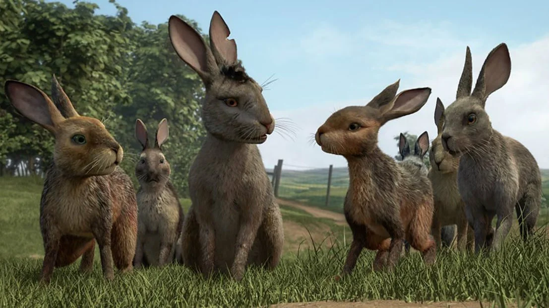 James-McAvoy-Miles-Jupp-John-Boyega-Nicholas-Hoult-Daniel-Rigby-and-Mackenzie-Crook-in-Watership-Down.jpg