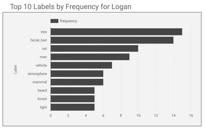 ai_labels.jpg