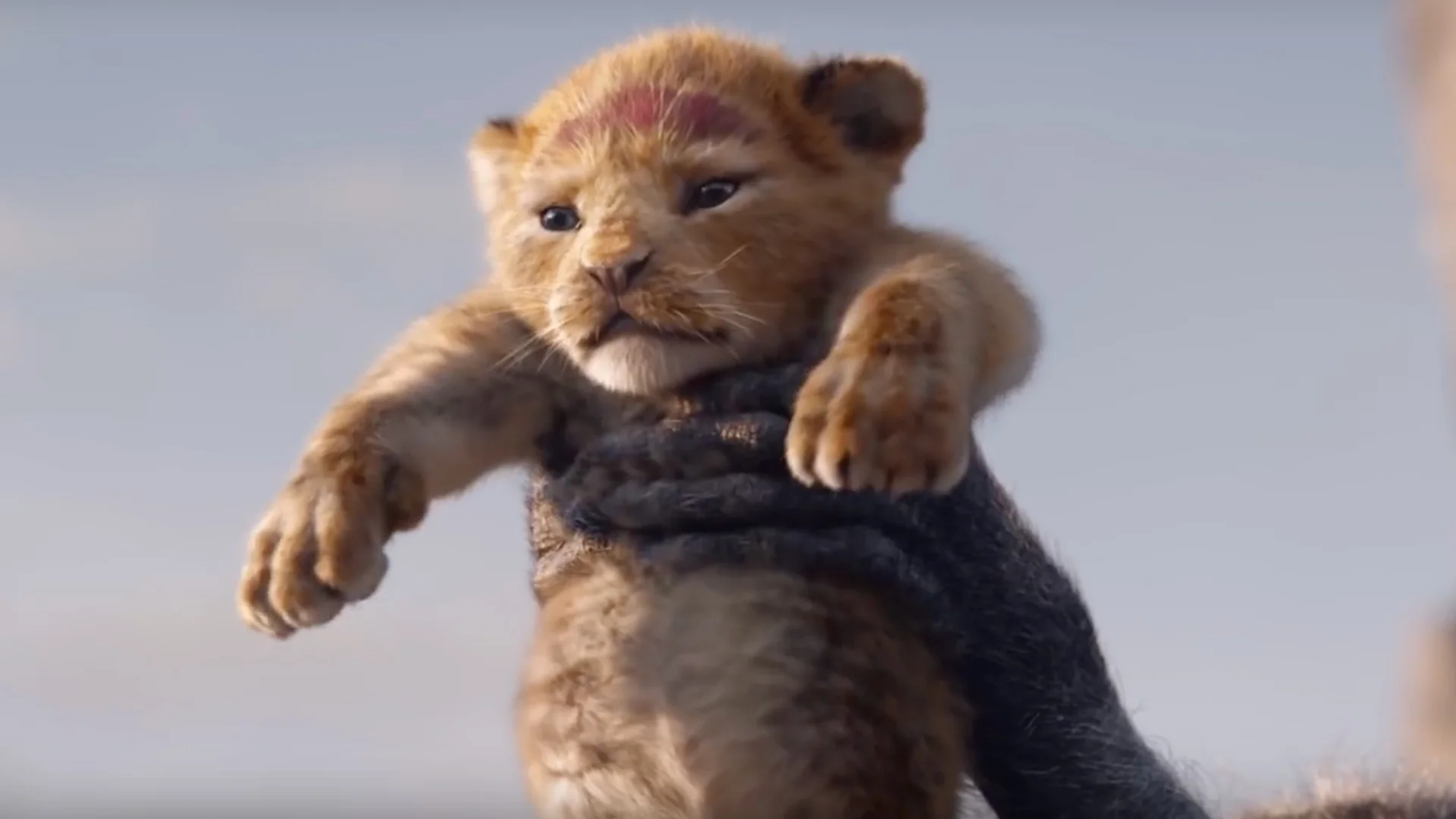 visually-stunning-trailer-for-jon-favreaus-the-lion-king-social.jpg
