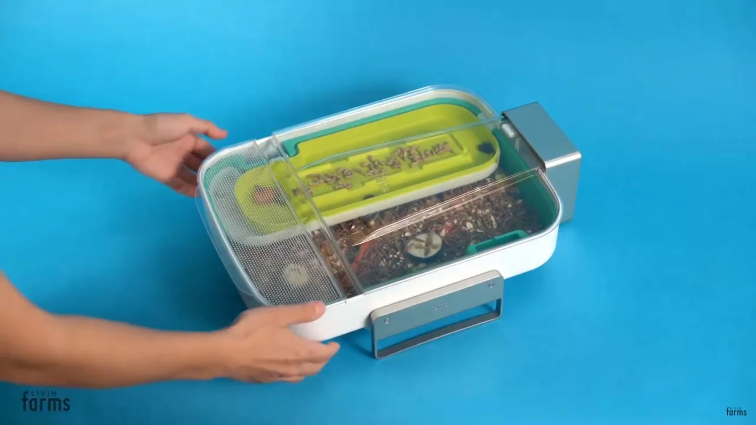 Hive Explorer is a Versatile Mealworm Farm for Science — GeekTyrant