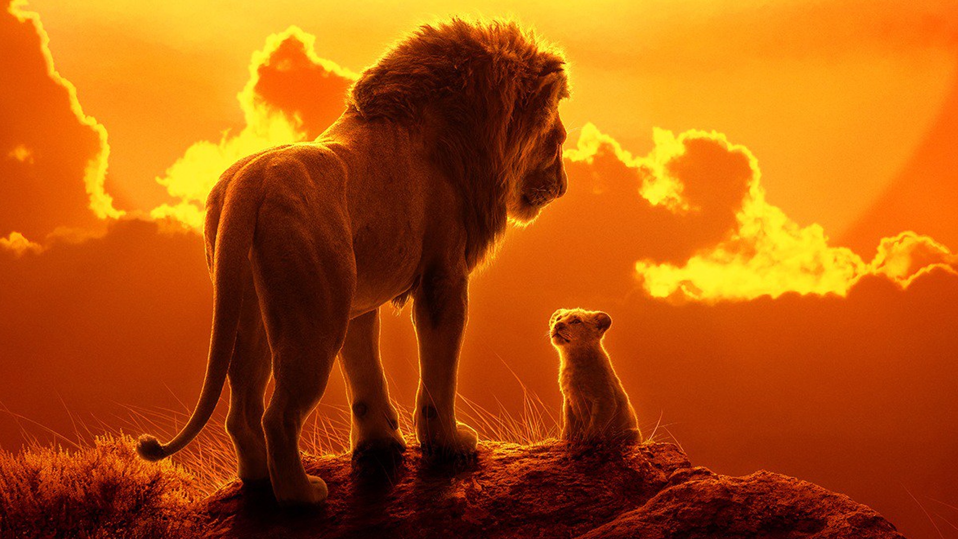 The Lion King Long Live The King Jon Favreau's THE LION KING Gets a New Poster and TV Spot - Long Live