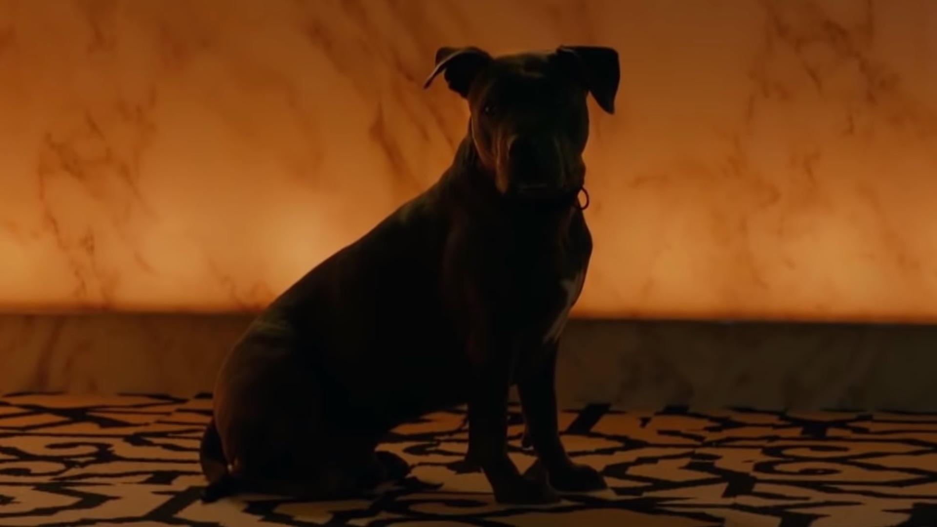 John Wick: Chapter 3 - Parabellum (2019 Movie) “Happy National Puppy Day” -  Keanu Reeves 