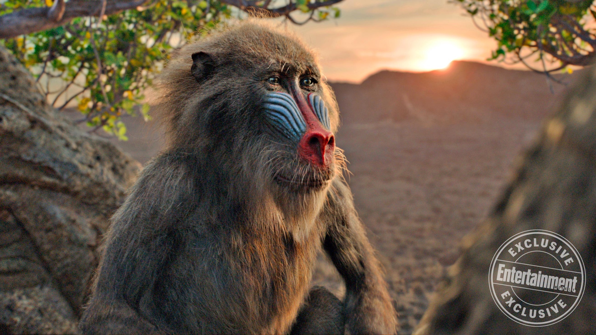 New Photos From Disney's THE LION KING and Jon Favreau Discusses The Film  and Reinventing The Story — GeekTyrant