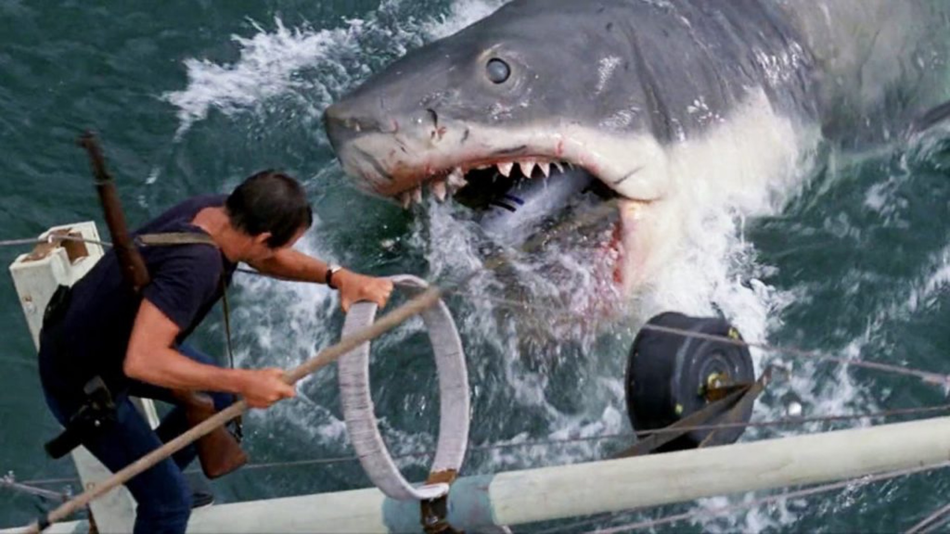 The Original Shark From JAWS Has Been Restored For The Academy Museum of  Motion Pictures — GeekTyrant