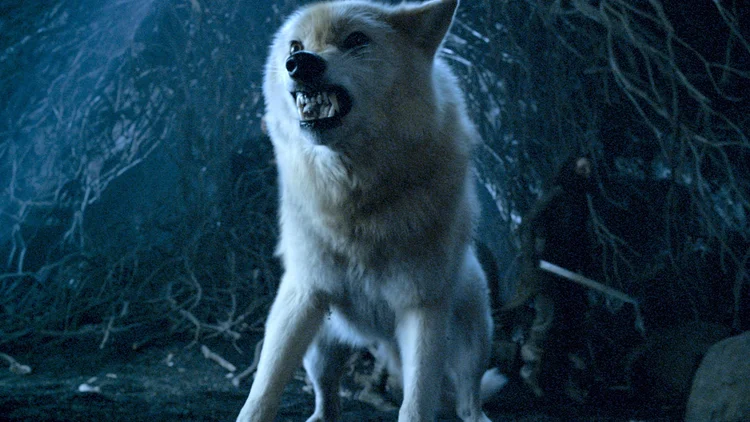 George R.R. Martin Confirms Starks, Direwolves, and More Details for ...